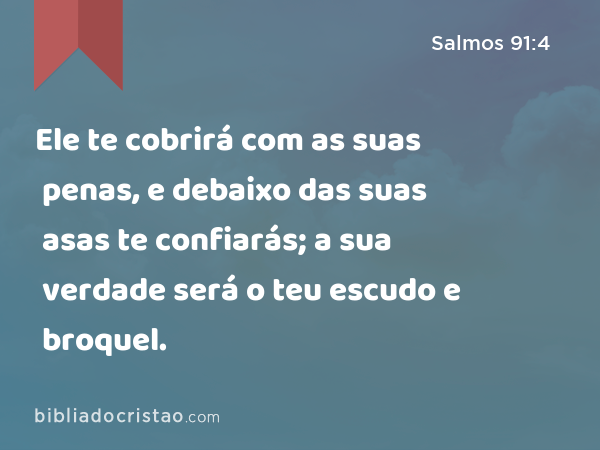 Ele te cobrirá com as suas penas, e debaixo das suas asas te confiarás; a sua verdade será o teu escudo e broquel. - Salmos 91:4