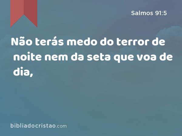 Não terás medo do terror de noite nem da seta que voa de dia, - Salmos 91:5