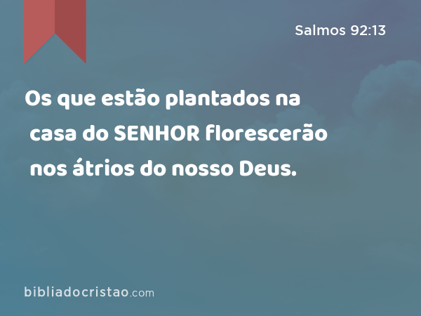 Os que estão plantados na casa do SENHOR florescerão nos átrios do nosso Deus. - Salmos 92:13