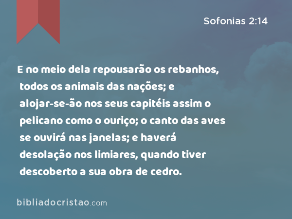 E no meio dela repousarão os rebanhos, todos os animais das nações; e alojar-se-ão nos seus capitéis assim o pelicano como o ouriço; o canto das aves se ouvirá nas janelas; e haverá desolação nos limiares, quando tiver descoberto a sua obra de cedro. - Sofonias 2:14