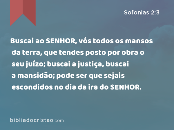 Buscai ao SENHOR, vós todos os mansos da terra, que tendes posto por obra o seu juízo; buscai a justiça, buscai a mansidão; pode ser que sejais escondidos no dia da ira do SENHOR. - Sofonias 2:3