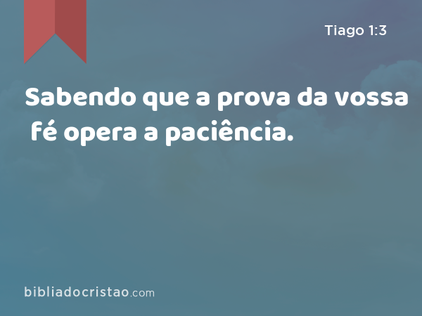 Sabendo que a prova da vossa fé opera a paciência. - Tiago 1:3