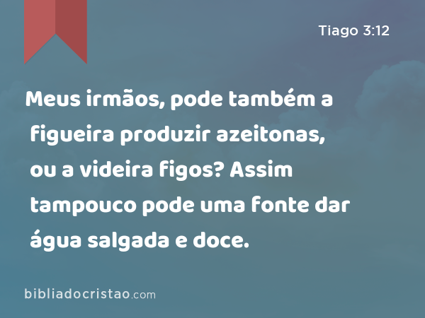 Meus irmãos, pode também a figueira produzir azeitonas, ou a videira figos? Assim tampouco pode uma fonte dar água salgada e doce. - Tiago 3:12