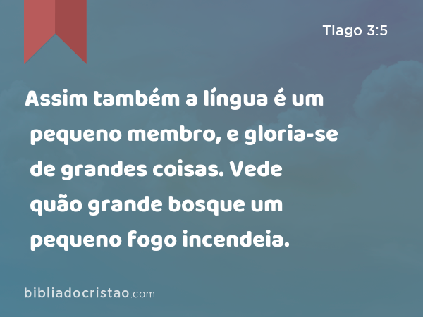 Assim também a língua é um pequeno membro, e gloria-se de grandes coisas. Vede quão grande bosque um pequeno fogo incendeia. - Tiago 3:5