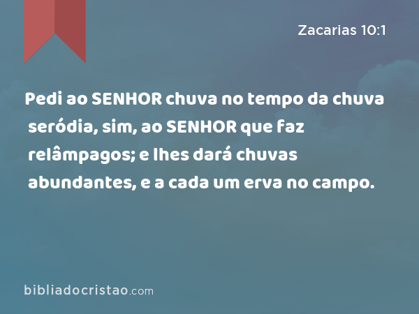 Pedi ao SENHOR chuva no tempo da chuva seródia, sim, ao SENHOR que faz relâmpagos; e lhes dará chuvas abundantes, e a cada um erva no campo. - Zacarias 10:1