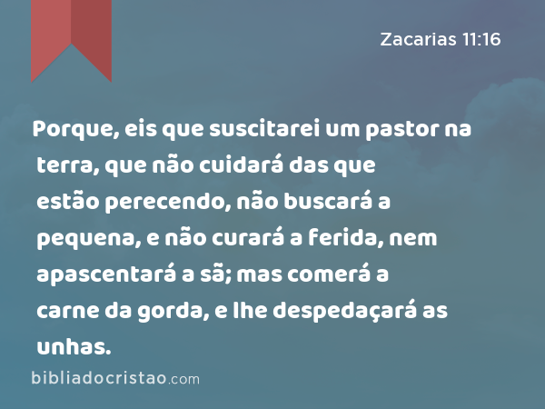 Porque, eis que suscitarei um pastor na terra, que não cuidará das que estão perecendo, não buscará a pequena, e não curará a ferida, nem apascentará a sã; mas comerá a carne da gorda, e lhe despedaçará as unhas. - Zacarias 11:16