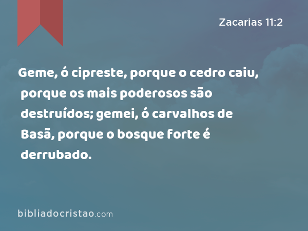 Geme, ó cipreste, porque o cedro caiu, porque os mais poderosos são destruídos; gemei, ó carvalhos de Basã, porque o bosque forte é derrubado. - Zacarias 11:2