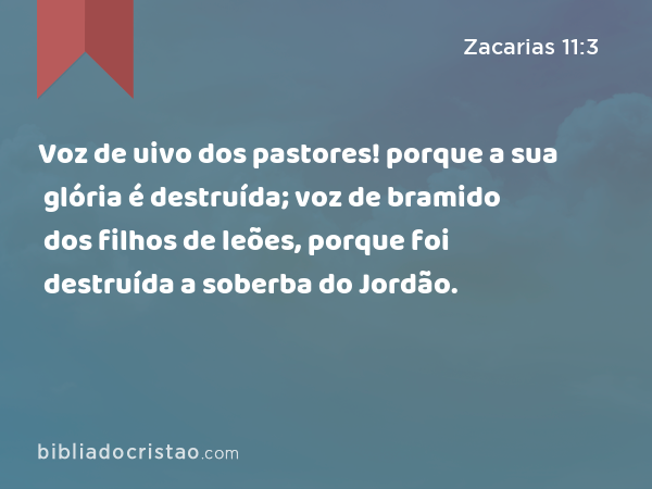 Voz de uivo dos pastores! porque a sua glória é destruída; voz de bramido dos filhos de leões, porque foi destruída a soberba do Jordão. - Zacarias 11:3