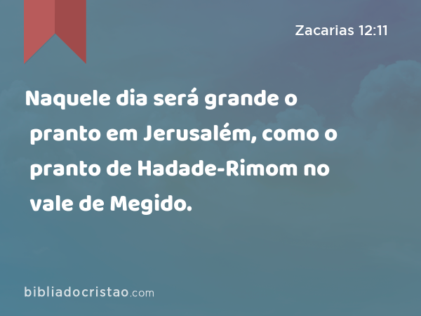 Naquele dia será grande o pranto em Jerusalém, como o pranto de Hadade-Rimom no vale de Megido. - Zacarias 12:11