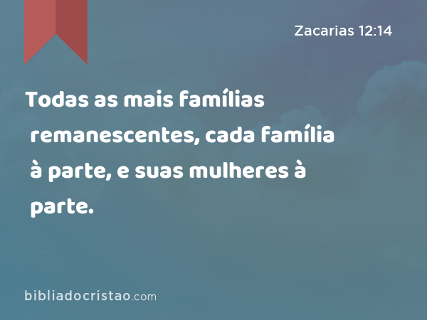 Todas as mais famílias remanescentes, cada família à parte, e suas mulheres à parte. - Zacarias 12:14