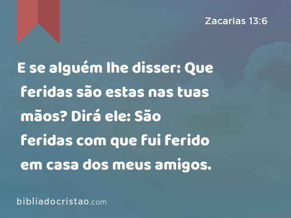 E se alguém lhe disser: Que feridas são estas nas tuas mãos? Dirá ele: São feridas com que fui ferido em casa dos meus amigos. - Zacarias 13:6