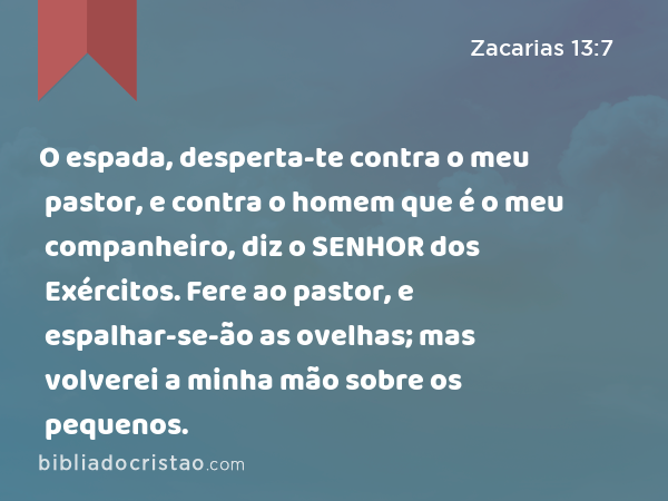 O espada, desperta-te contra o meu pastor, e contra o homem que é o meu companheiro, diz o SENHOR dos Exércitos. Fere ao pastor, e espalhar-se-ão as ovelhas; mas volverei a minha mão sobre os pequenos. - Zacarias 13:7