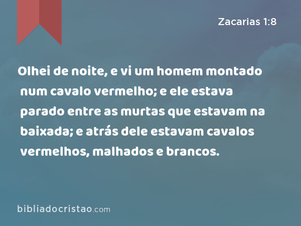 Olhei de noite, e vi um homem montado num cavalo vermelho; e ele estava parado entre as murtas que estavam na baixada; e atrás dele estavam cavalos vermelhos, malhados e brancos. - Zacarias 1:8