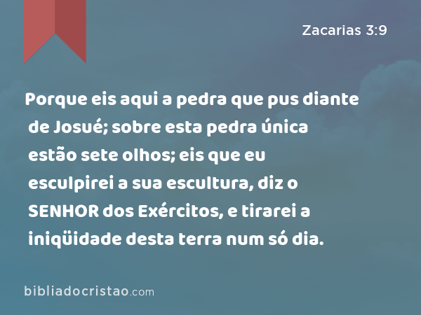 Porque eis aqui a pedra que pus diante de Josué; sobre esta pedra única estão sete olhos; eis que eu esculpirei a sua escultura, diz o SENHOR dos Exércitos, e tirarei a iniqüidade desta terra num só dia. - Zacarias 3:9