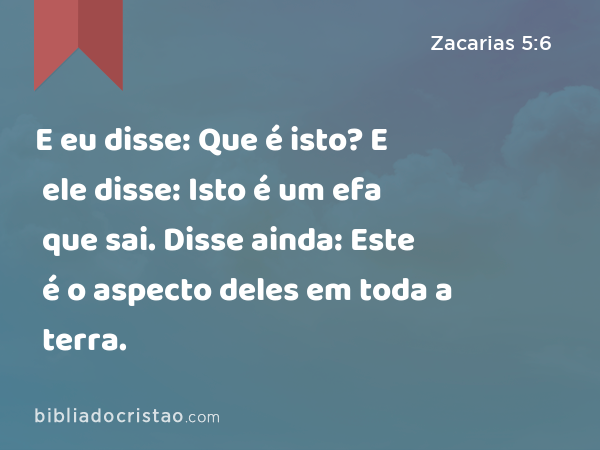 E eu disse: Que é isto? E ele disse: Isto é um efa que sai. Disse ainda: Este é o aspecto deles em toda a terra. - Zacarias 5:6