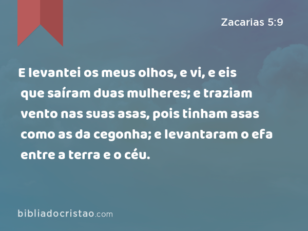 E levantei os meus olhos, e vi, e eis que saíram duas mulheres; e traziam vento nas suas asas, pois tinham asas como as da cegonha; e levantaram o efa entre a terra e o céu. - Zacarias 5:9