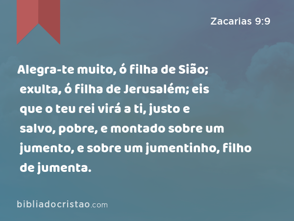 Alegra-te muito, ó filha de Sião; exulta, ó filha de Jerusalém; eis que o teu rei virá a ti, justo e salvo, pobre, e montado sobre um jumento, e sobre um jumentinho, filho de jumenta. - Zacarias 9:9